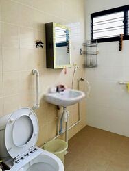 Blk 226 Tampines Street 23 (Tampines), HDB 4 Rooms #564738551
